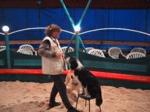 Zirkus Sottrum - Hundenummer